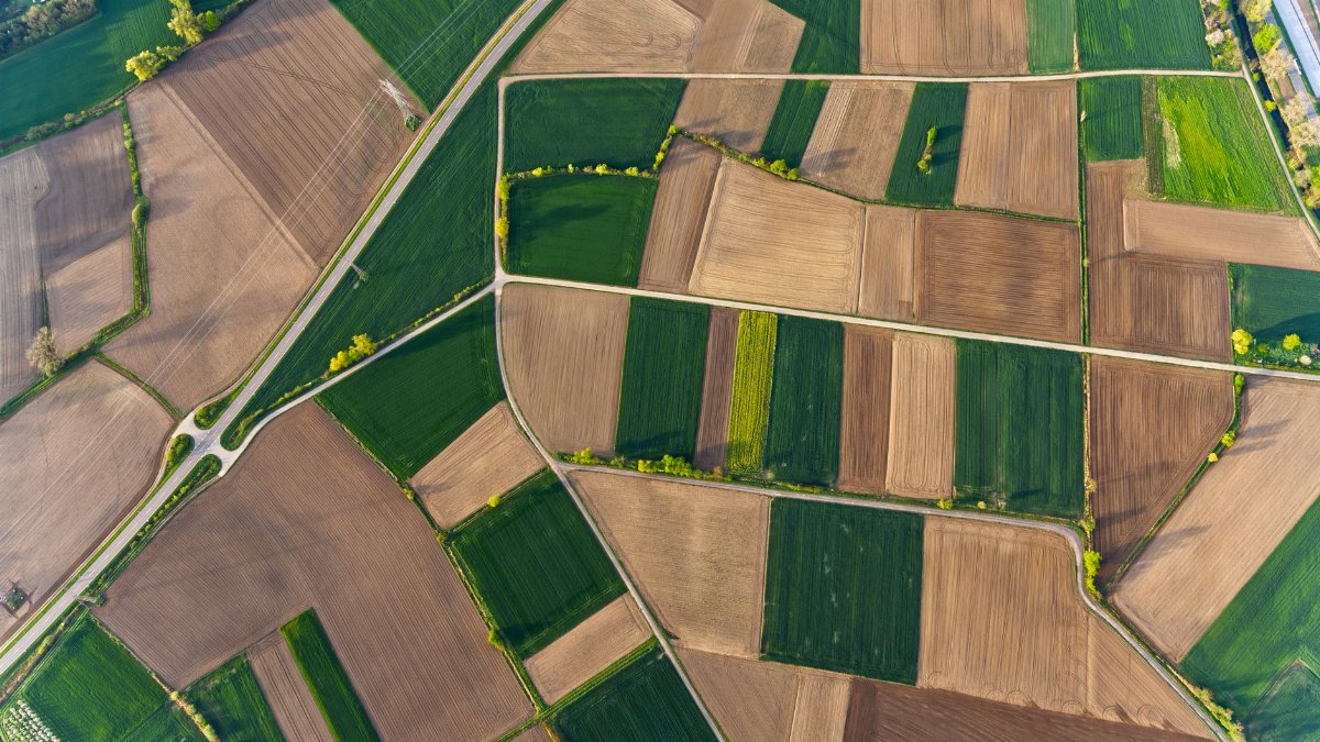 Overhead shot of vibrant patchwork fields with diverse crops in a rural landscape during summer.