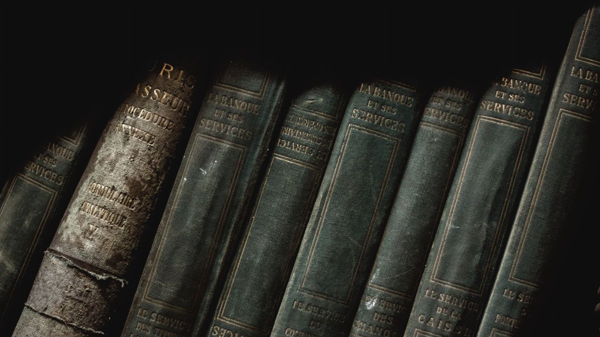A shadowed view of vintage French leather-bound books showcasing a classic library vibe.
