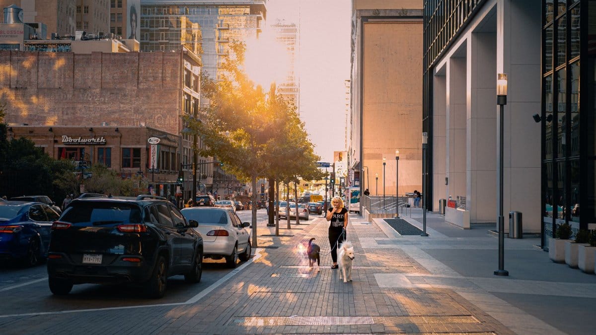 A woman walks two dogs on a sunlit city sidewalk, showcasing urban lifestyle.