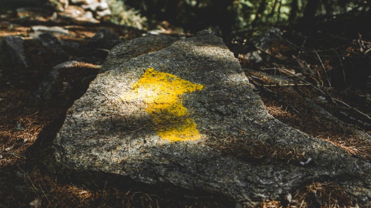 Yellow arrow painted on rock guiding a forest trail in Valsavarenche, Aosta, Italy.
