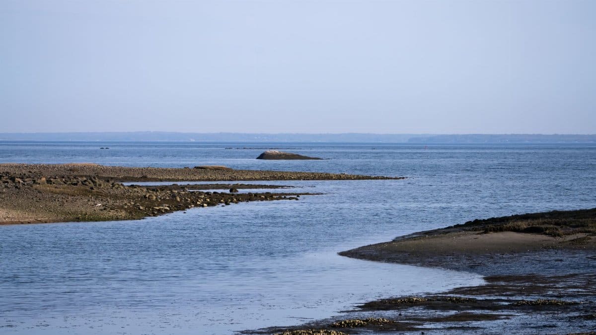 Tranquil coastal shoreline at low tide with calm blue ocean and distant horizon.