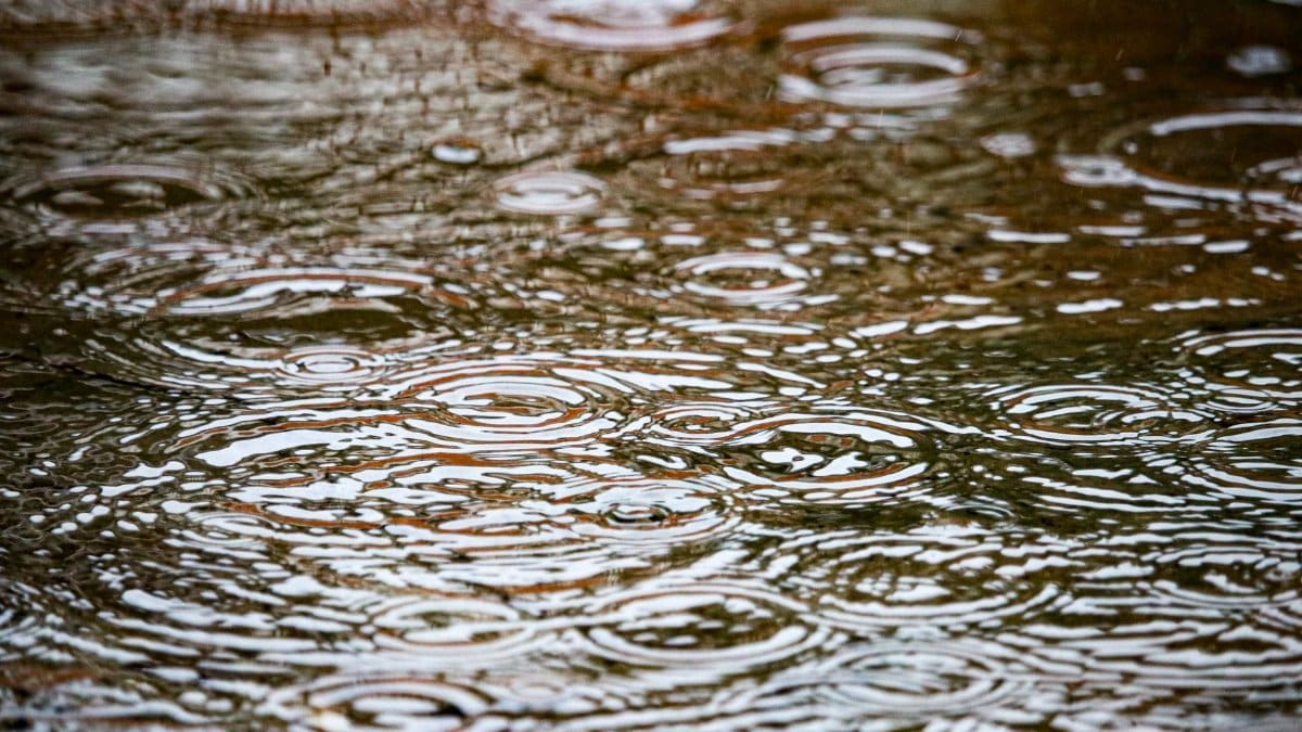Close-up of ripples in a rain puddle creating abstract patterns in Belém, Brazil.