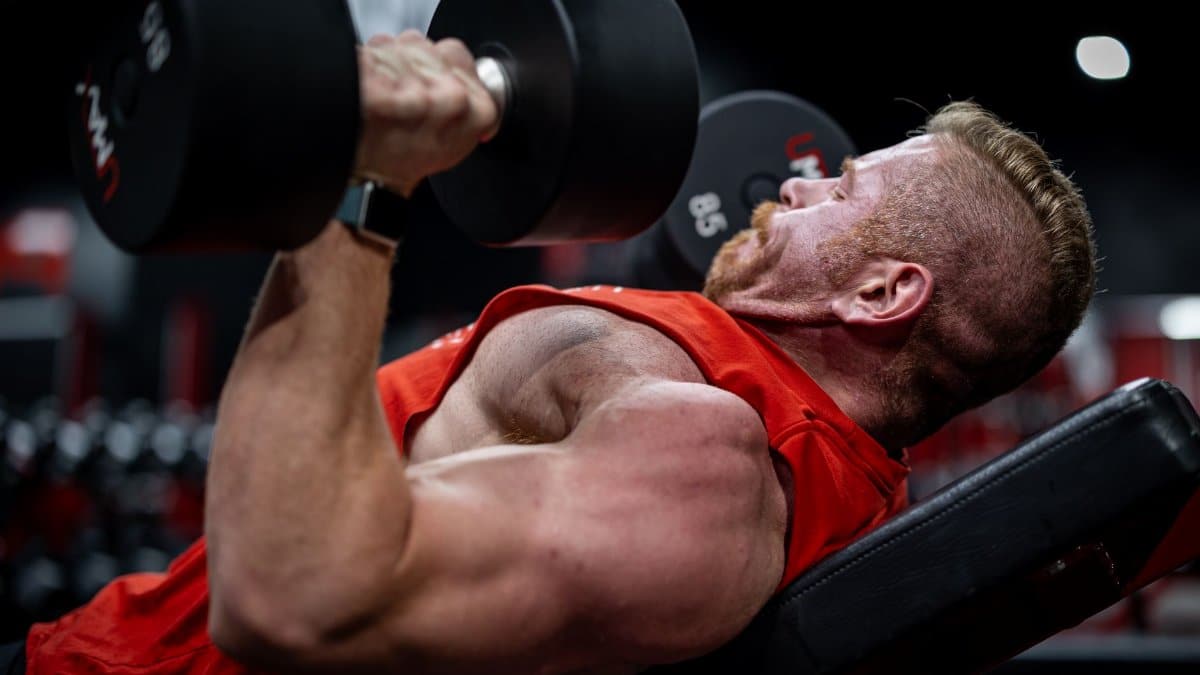 Side view of a muscular man lifting dumbbells on a bench in a gym, focusing on strength and effort.