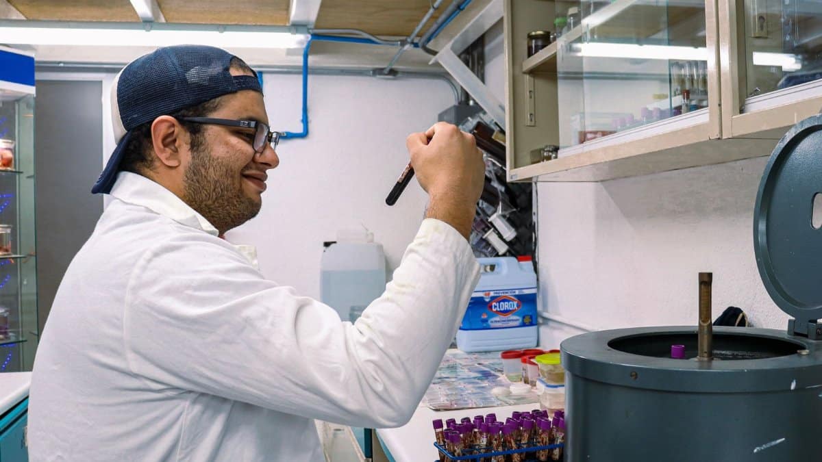 A scientist working with test tubes in a lab setting, focusing on scientific research.