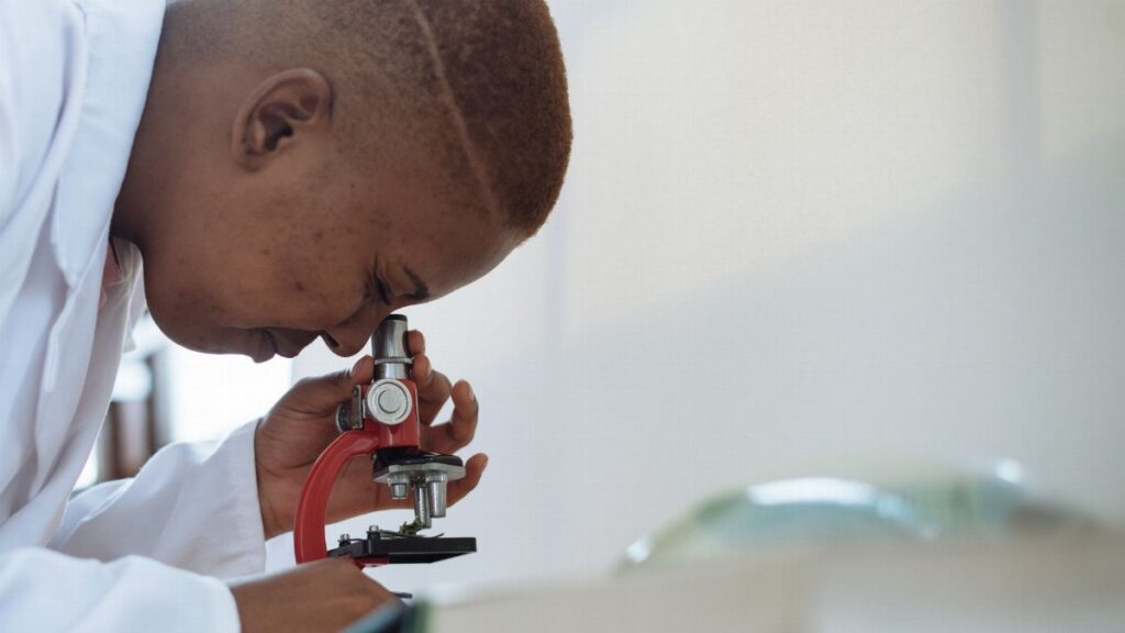 Side view of young African American doctor in uniform examining samples through microscope while working in modern clinic at daytime