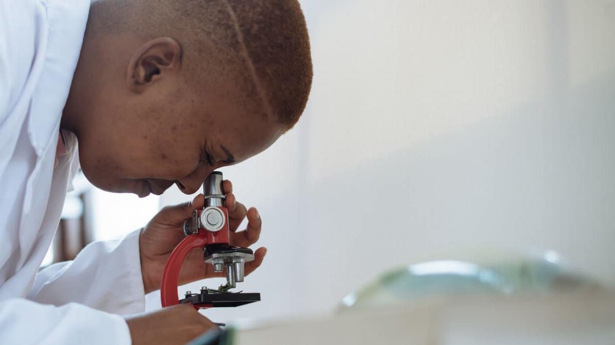 Side view of young African American doctor in uniform examining samples through microscope while working in modern clinic at daytime