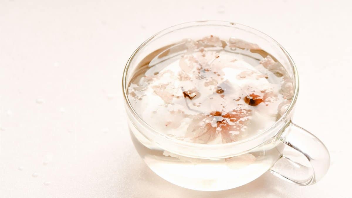 A serene view of sakura flower tea in a clear glass, perfect for relaxation and mindfulness.