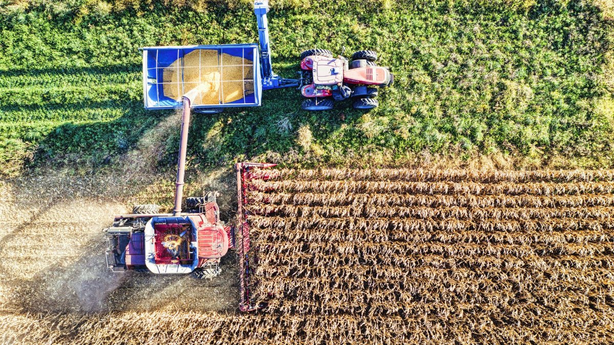 Aerial shot of a combine harvester and tractor working in corn fields during harvest season.