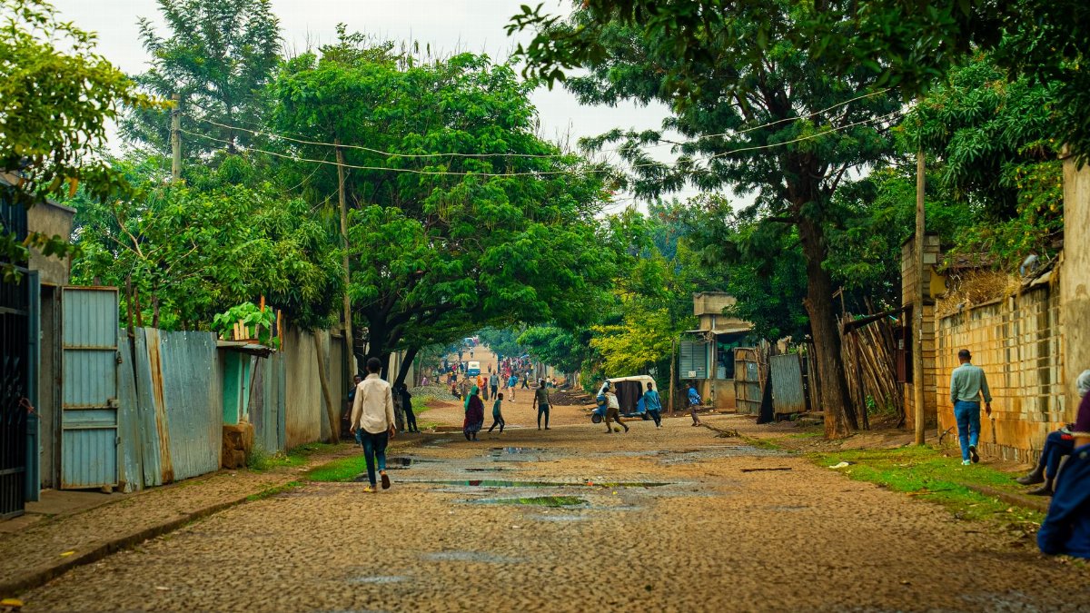 A vibrant street scene showcases daily life in a rural neighborhood with trees and cobblestone path.