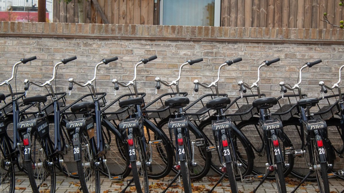 Multiple bicycles lined up in Copenhagen, Denmark showcasing urban cycling culture.