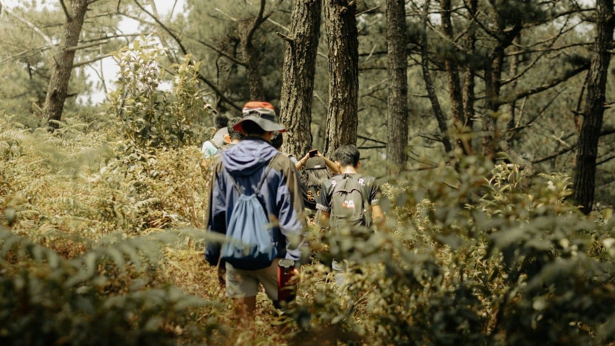 A group of hikers exploring a dense forest, enjoying an outdoor adventure surrounded by nature's beauty.
