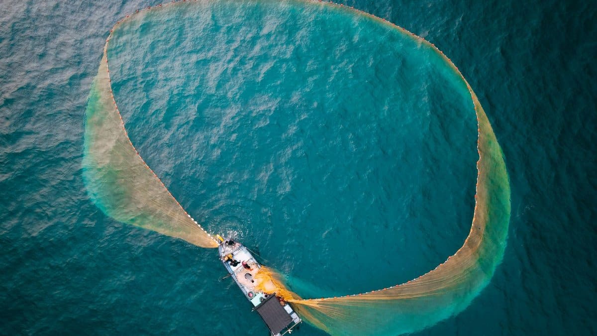 Aerial shot of a fishing boat deploying a net in the open ocean, capturing the beauty of marine life.