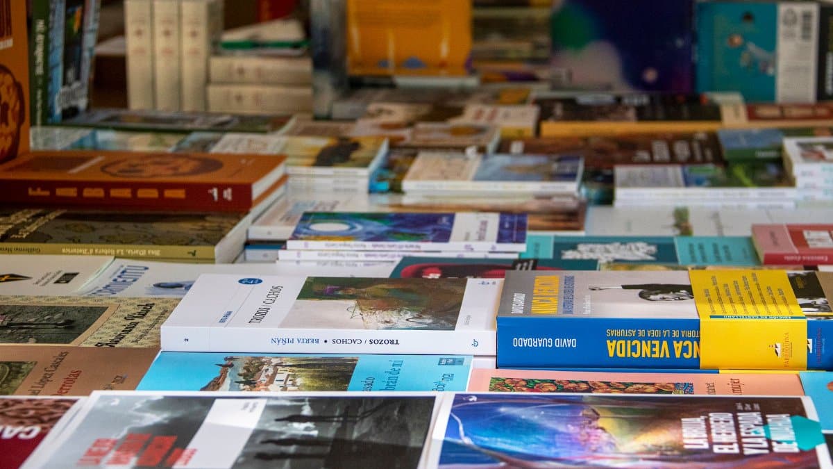 An assorted collection of books arranged on a table in Madrid, showcasing diverse genres and covers.