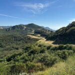 Sunny landscape of lush Santa Monica Mountains, with hiking trails under a clear blue sky.