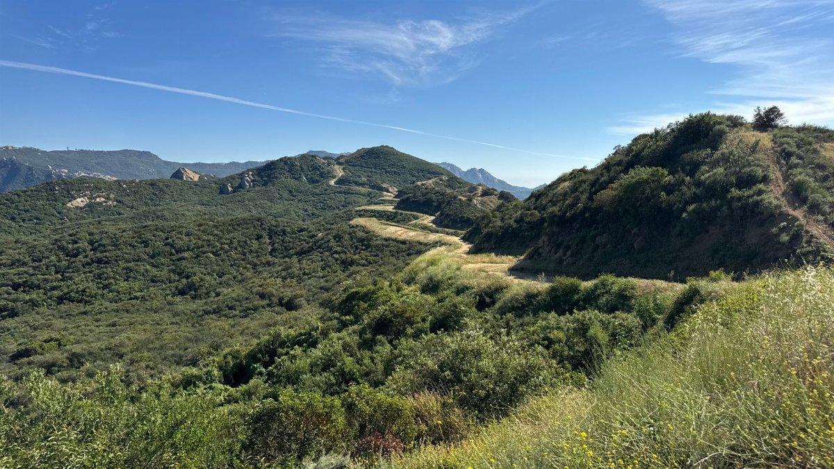 Sunny landscape of lush Santa Monica Mountains, with hiking trails under a clear blue sky.