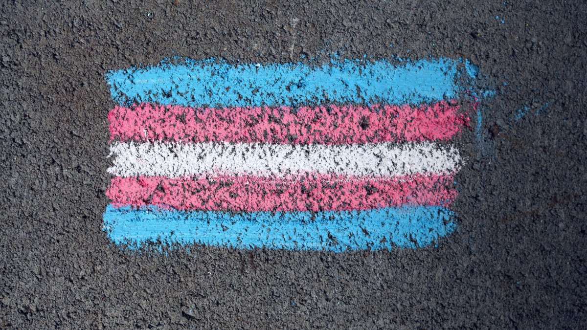 Close-up of a transgender pride flag chalk drawing on rough pavement surface.