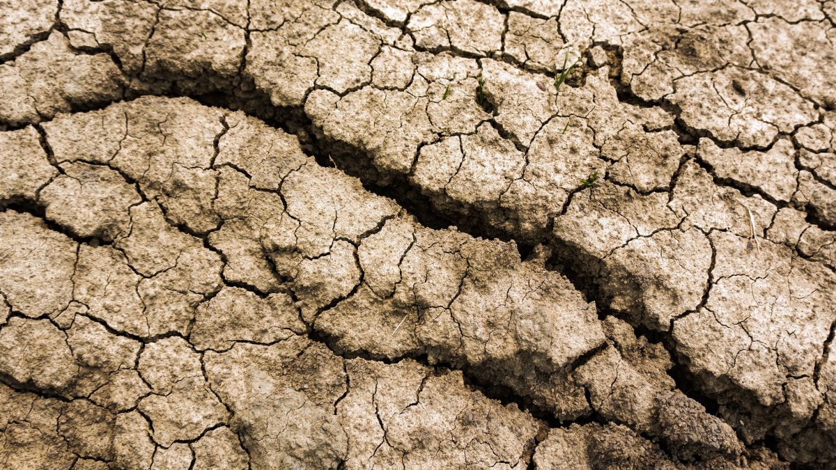 Detailed texture of cracked, arid earth symbolizing drought and environmental issues.