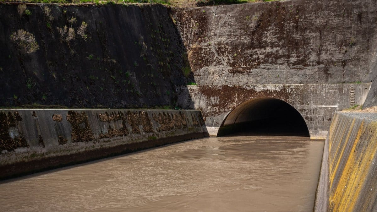 A large concrete storm drain with murky water flowing into a tunnel, surrounded by mossy walls.