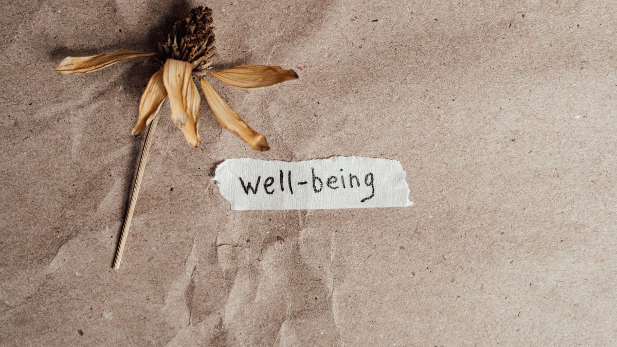 A dried flower beside a handwritten well-being note on brown paper, evoking calmness and reflection.