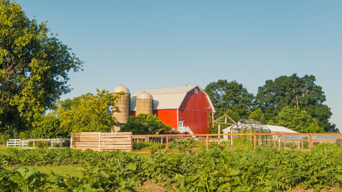 Beautiful red barn amidst lush greenery on a sunny day in Alto, Michigan.