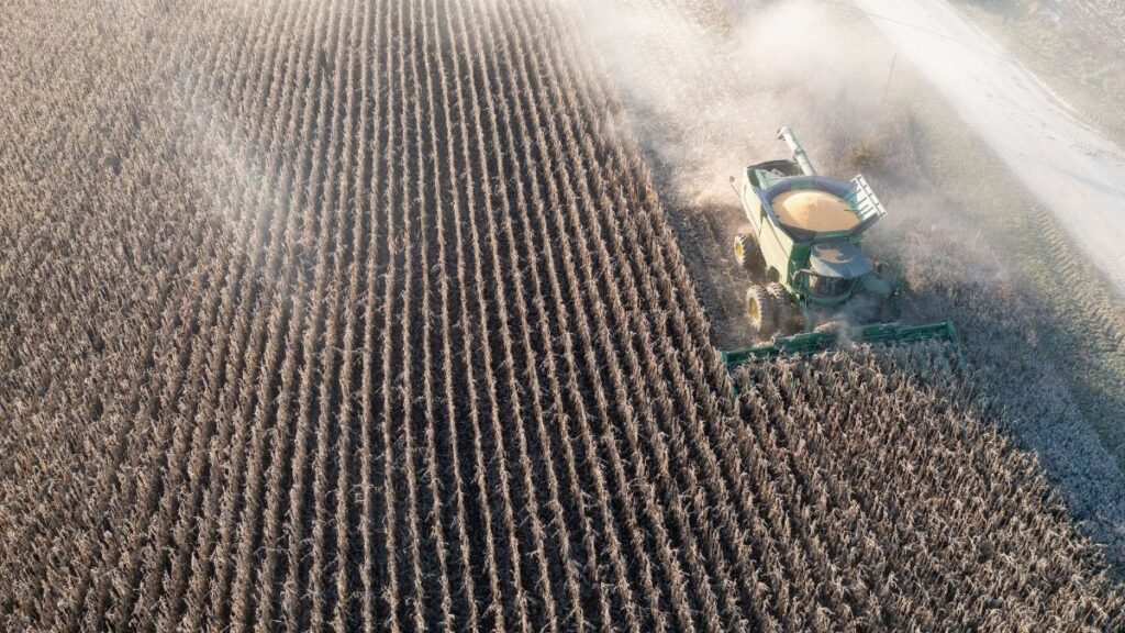 Aerial shot capturing a combine harvester working through a cornfield in rural Minnesota.