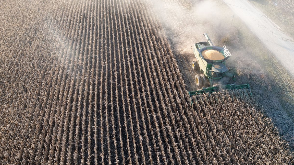 Aerial shot capturing a combine harvester working through a cornfield in rural Minnesota.