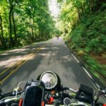 Experience the thrill of speed on a motorcycle journey through lush, winding forest roads.