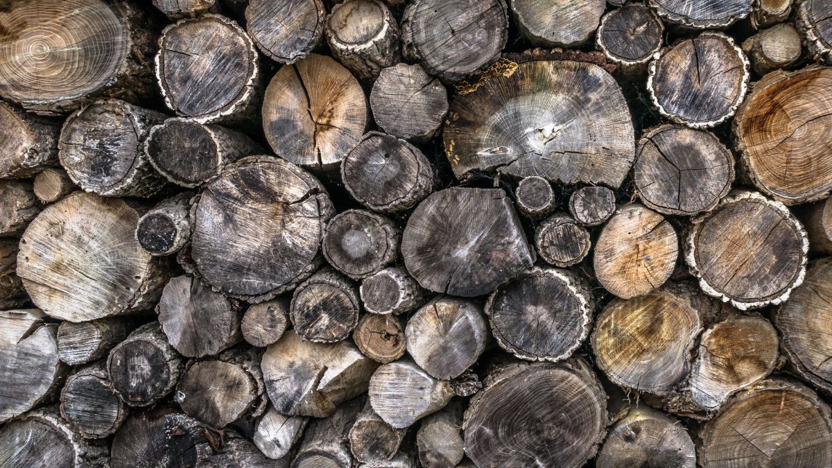 Detailed view of a pile of stacked firewood logs showing unique wood textures and patterns.
