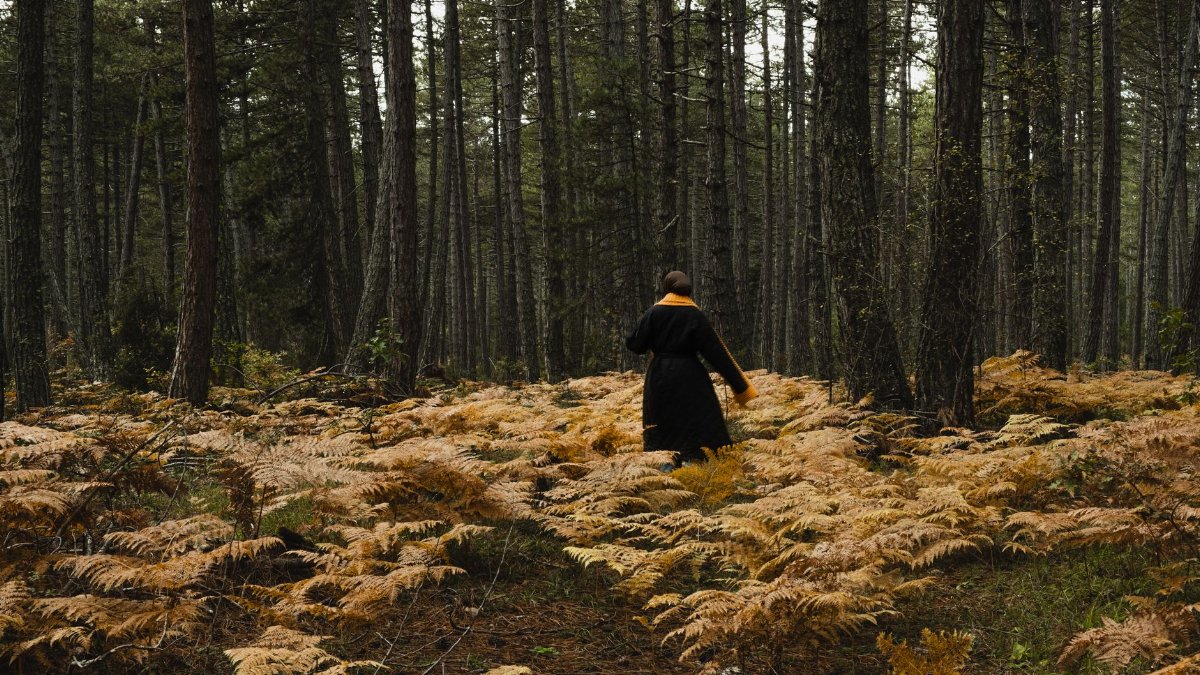 A person walks through a forest with brown ferns and tall trees, evoking an autumn mood.