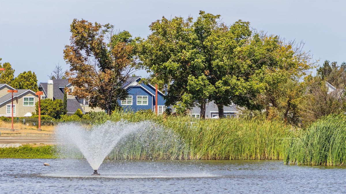 Serene lake view with a water fountain, greenery, and charming houses.