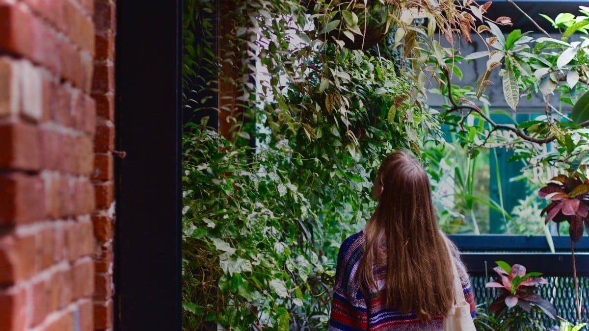 Back view of a woman with long hair observing plants in a botanic garden.