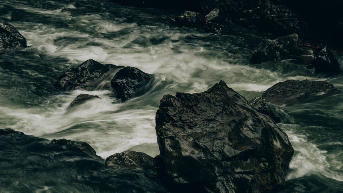 Captivating view of a river cascading over rocks in a lush forest setting.
