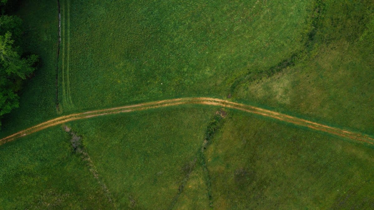 Drone view of narrow path going through green field in countryside in summer day