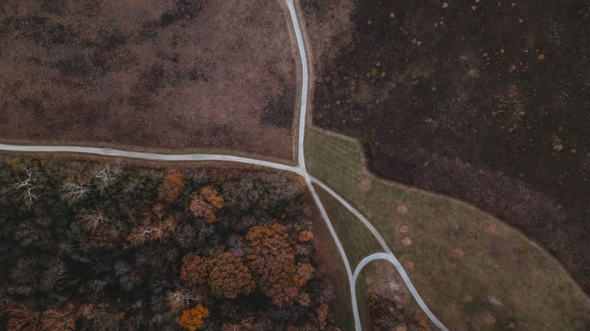 Aerial shot showcasing intersecting pathways through an autumn landscape with bare trees and grassy fields.