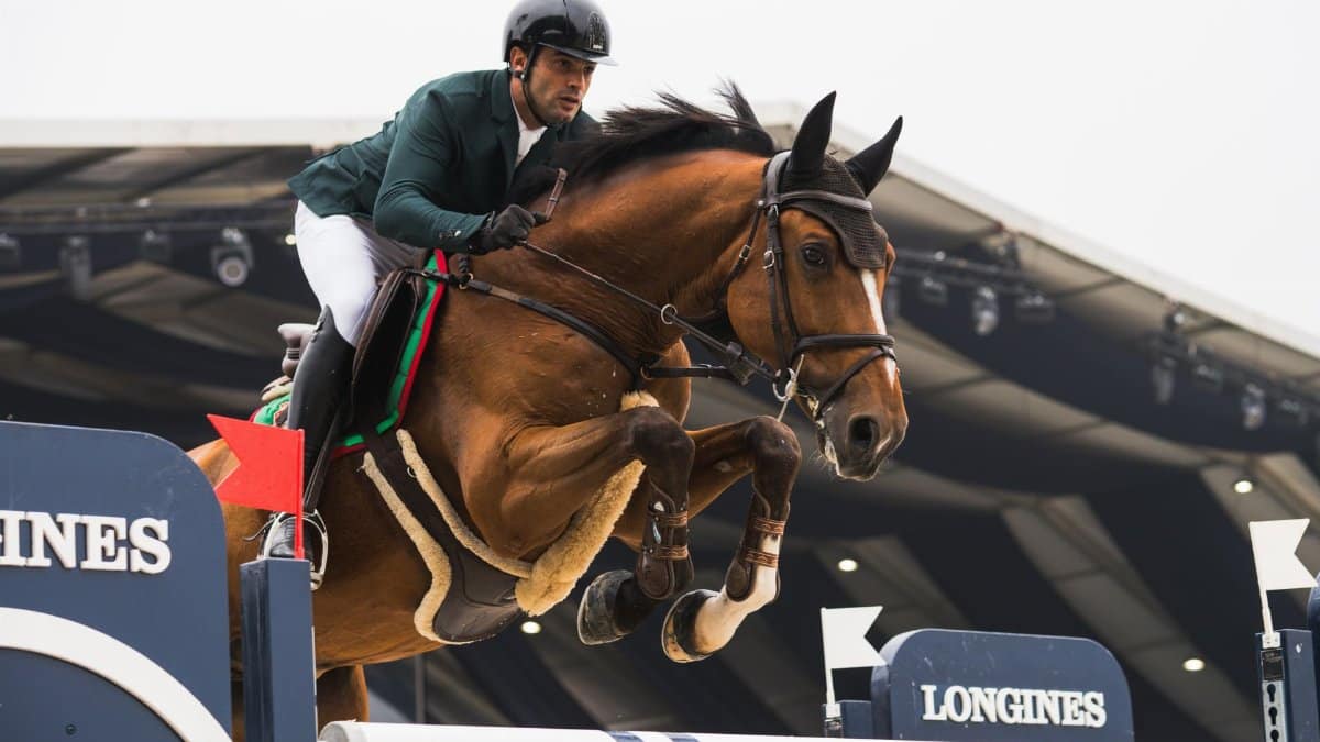 Dynamic shot of an equestrian rider and horse jumping a hurdle in a sports arena.