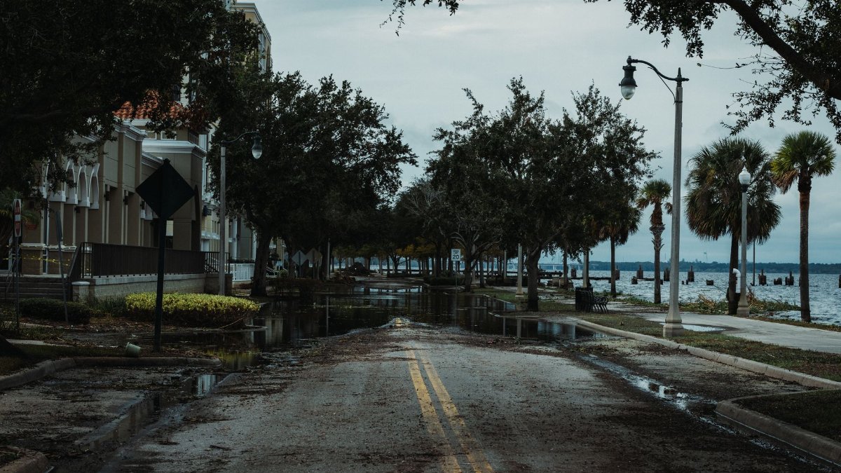 A flooded urban street with palm trees, buildings, and puddles, under a cloudy sky.