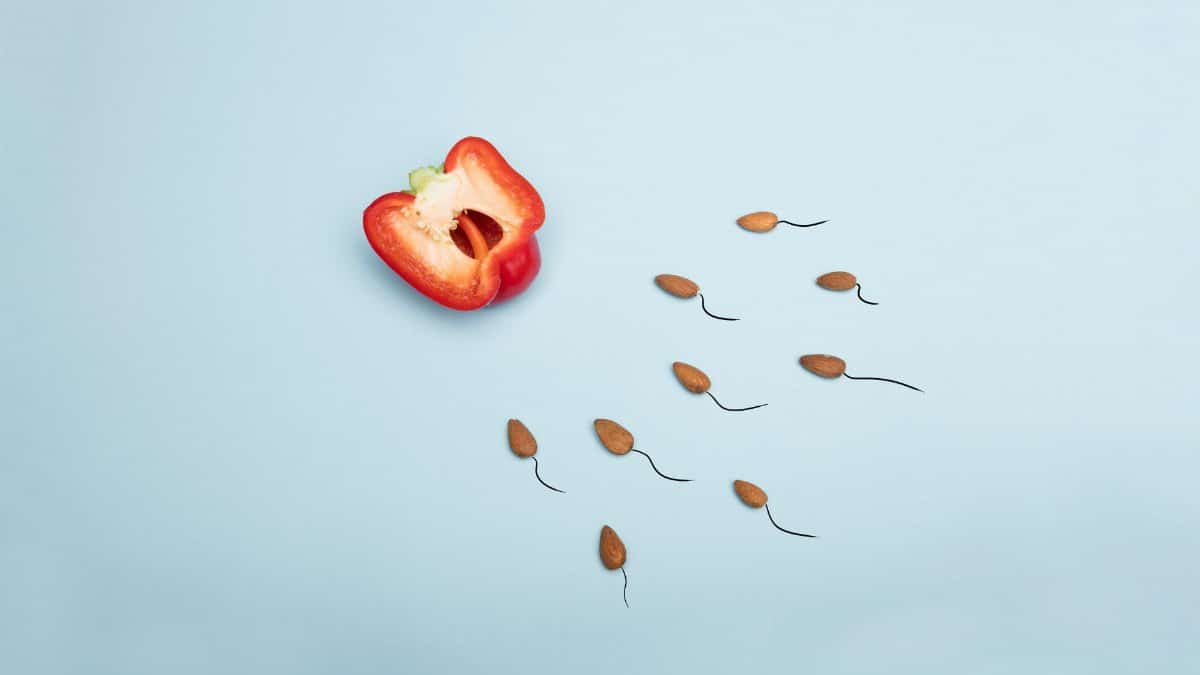 Artistic depiction of fertility concept using red bell pepper and almond sperm on blue background.