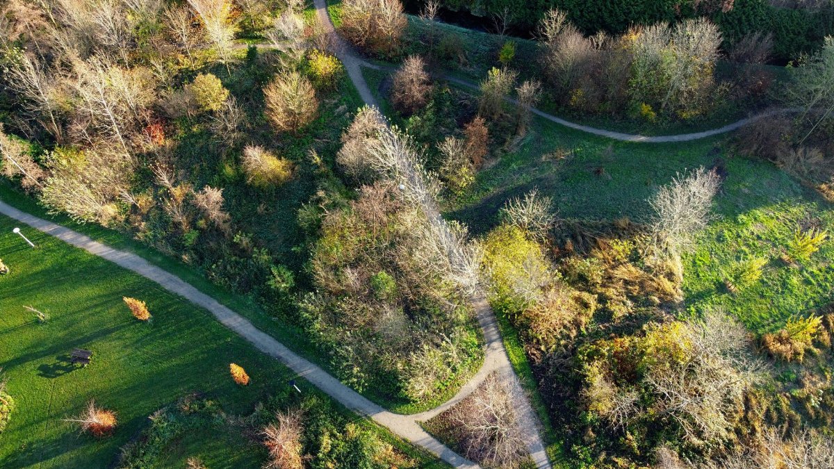 A stunning aerial view of a lush green park with winding paths and vibrant trees.