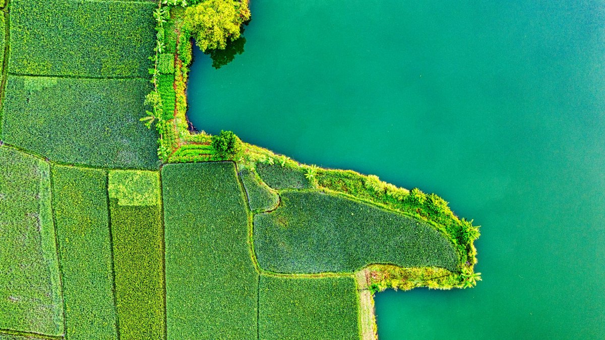 Vibrant aerial view of agricultural fields beside a water body in Rumpin, Indonesia.
