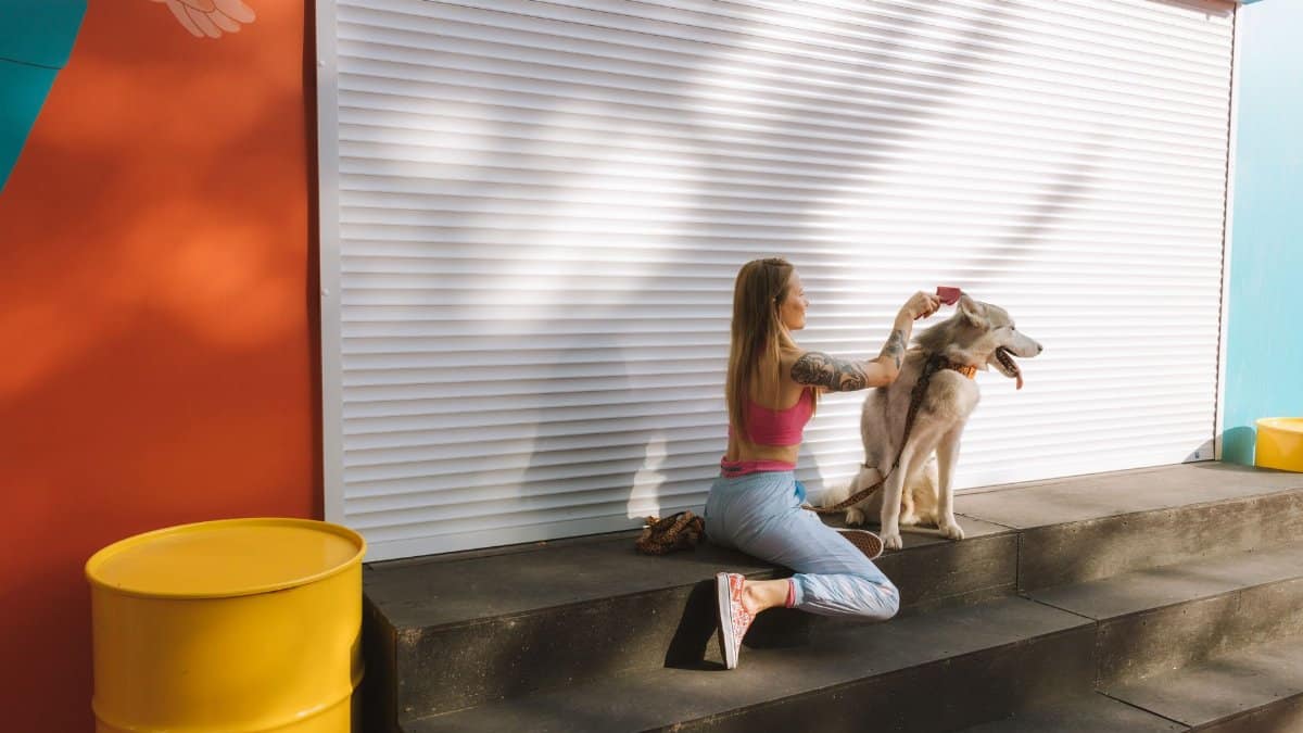 Woman combing Siberian husky on city steps with colorful urban background.