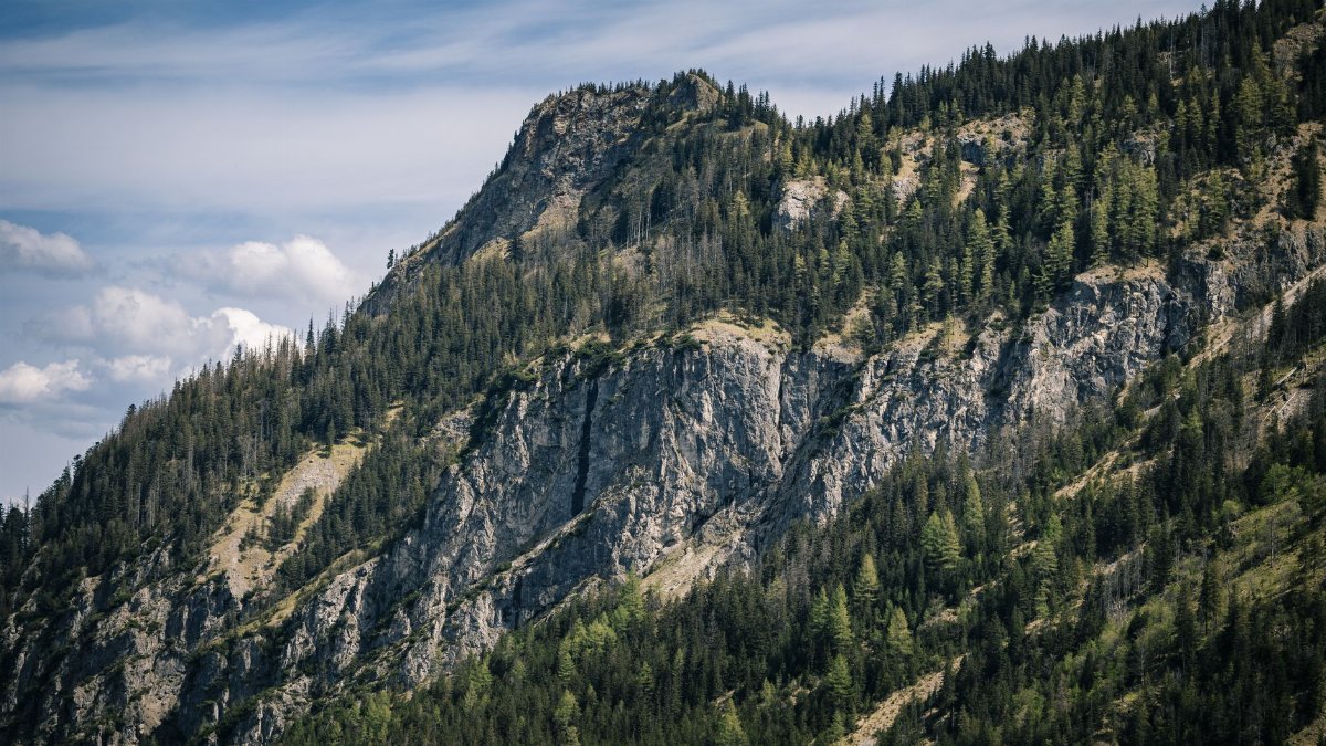 Dramatic mountain landscape with rocky cliffs and lush evergreen trees against a blue sky.