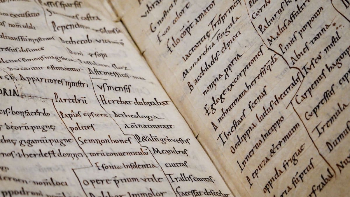 Detailed close-up of an ancient manuscript showcasing Latin text and calligraphy.