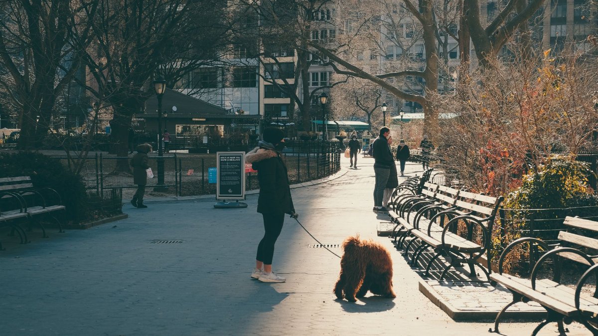 A woman walking her dog in an urban park, showcasing everyday life and companionship.