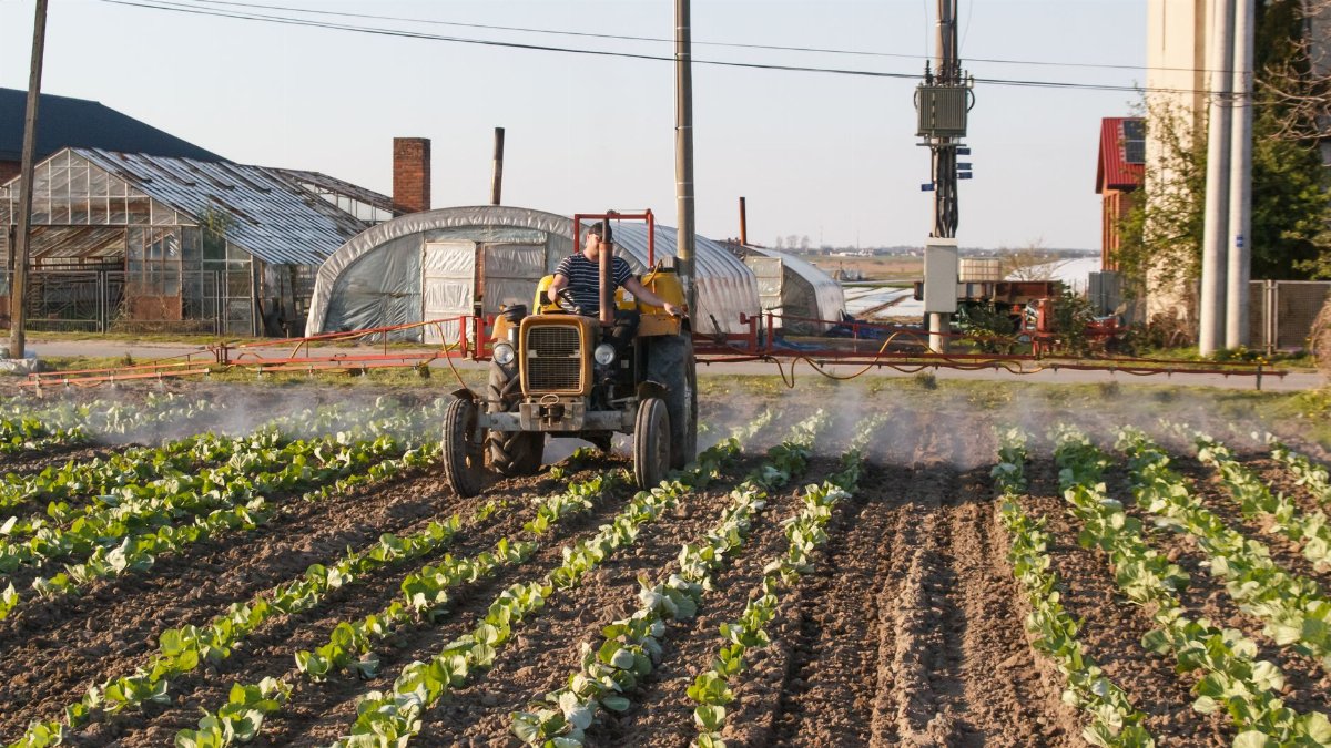A farmer uses a tractor to spray crops in a rural agricultural field near greenhouses.