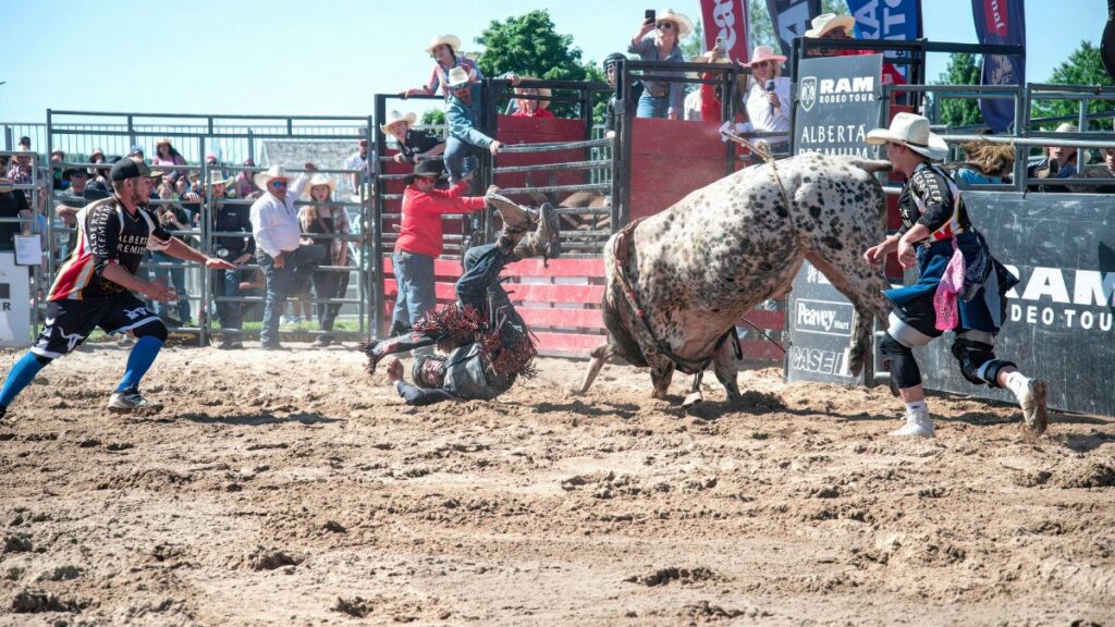 Rodeo bull rider in mid-air fall with a bull and spectators in intense action scene.