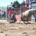 Rodeo bull rider in mid-air fall with a bull and spectators in intense action scene.