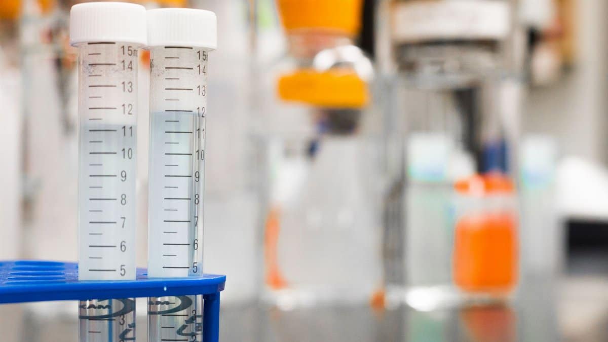 Two clear test tubes in a laboratory, essential for scientific research.