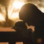 Silhouette of a father holding his newborn at sunset, highlighting love and connection.