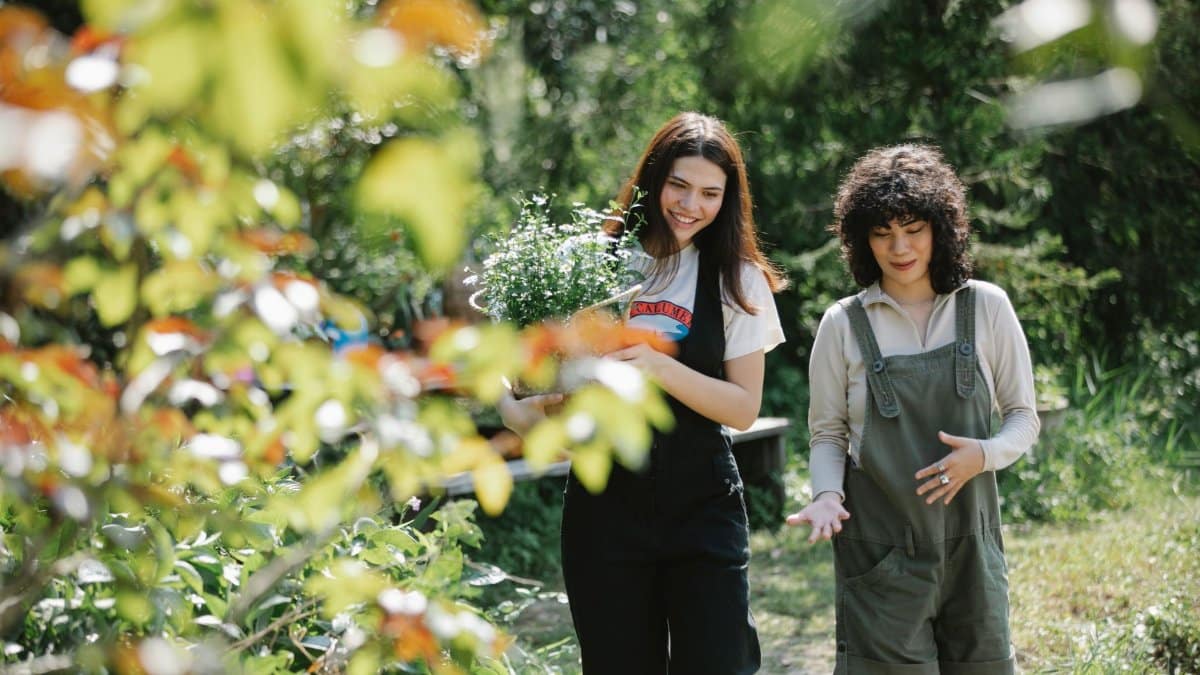 Cheerful young multiracial female friends having conversation while walking in garden together with lush fresh