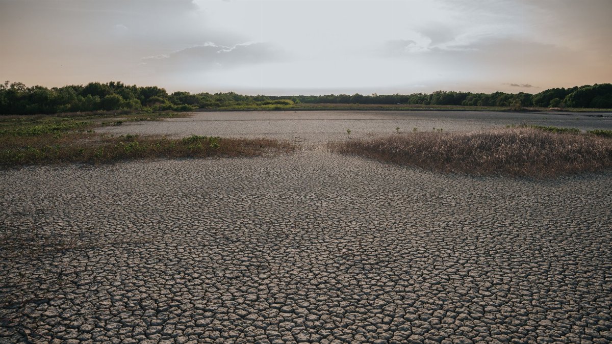 Aerial view of a cracked, dry landscape under a clear sky, highlighting climate change impact.